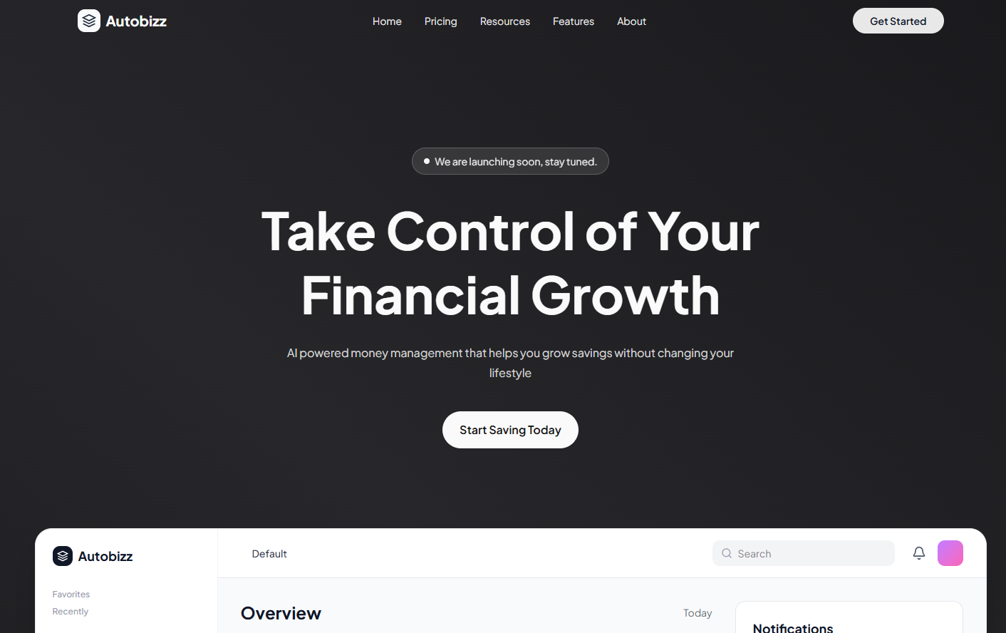 Autobizz Financial Dashboard